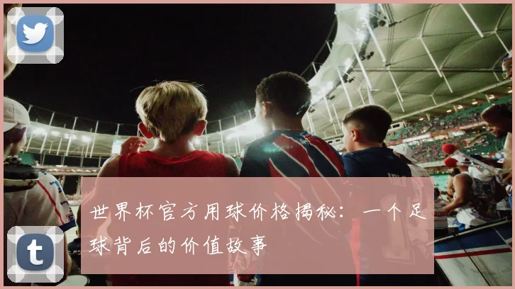 世界杯官方用球价格揭秘：一个足球背后的价值故事