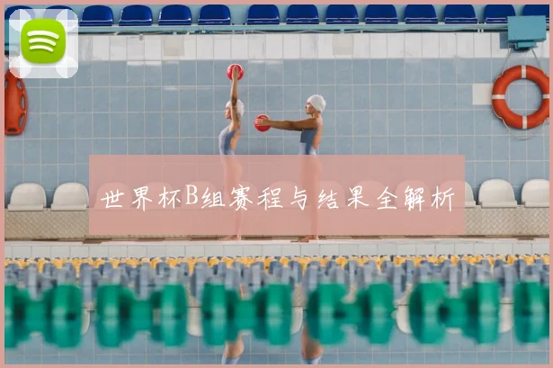 世界杯B组赛程与结果全解析