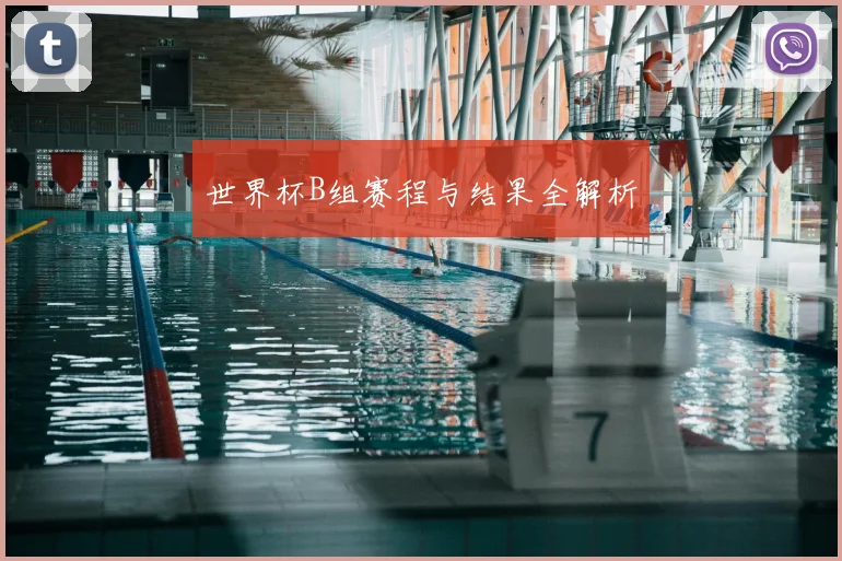 世界杯B组赛程与结果全解析