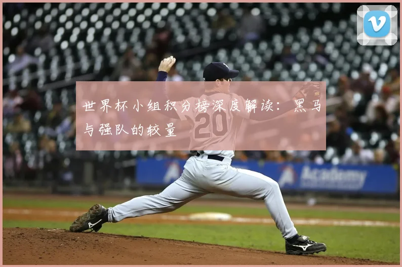 世界杯小组积分榜深度解读：黑马与强队的较量