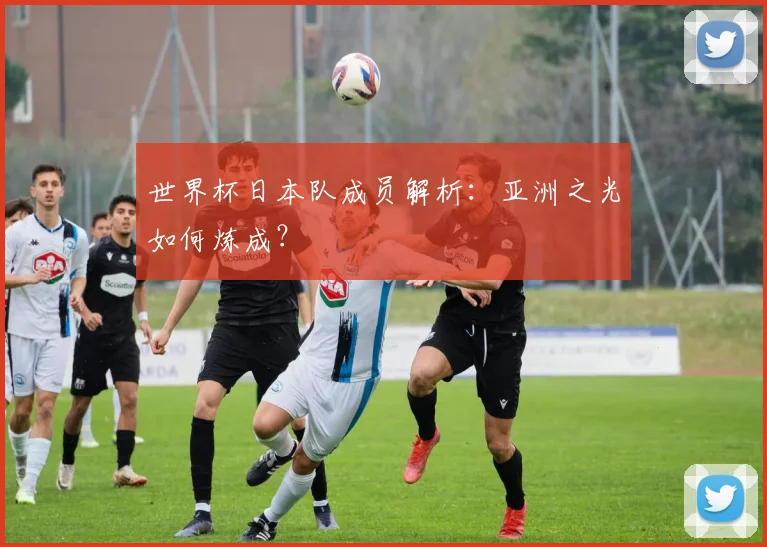 世界杯日本队成员解析：亚洲之光如何炼成？