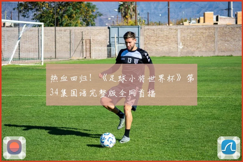 热血回归！《足球小将世界杯》第34集国语完整版全网首播