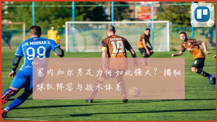 塞内加尔男足为何如此强大？揭秘球队阵容与战术体系