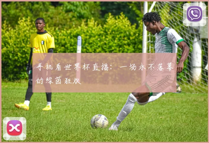 手机看世界杯直播：一场永不落幕的绿茵狂欢