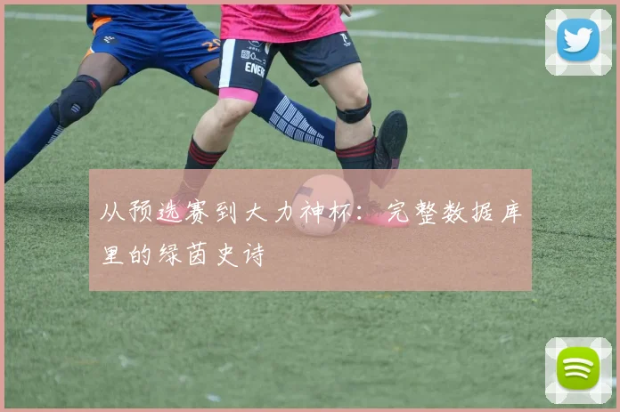 从预选赛到大力神杯：完整数据库里的绿茵史诗