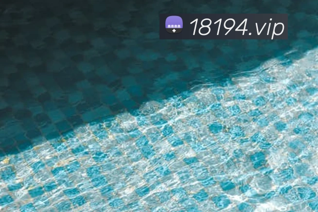 App Interface Preview